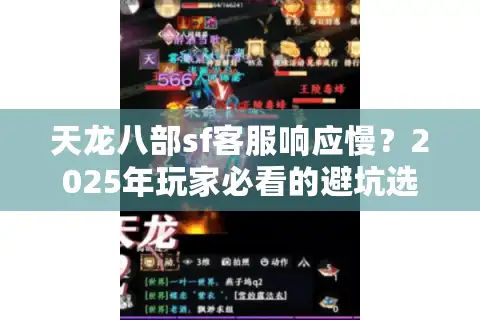 天龙八部sf客服响应慢？2025年玩家必看的避坑选服攻略