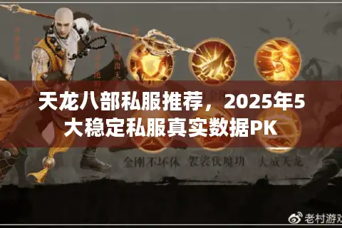 天龙八部私服推荐，2025年5大稳定私服真实数据PK