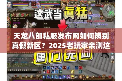 天龙八部私服发布网如何辨别真假新区？2025老玩家亲测这3招防坑技巧
