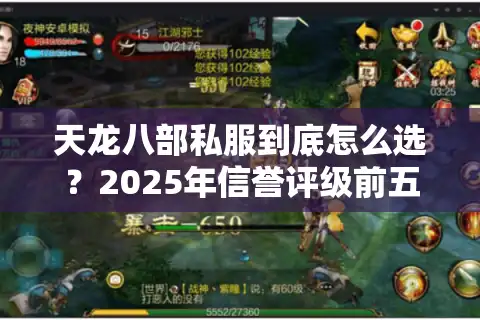 天龙八部私服到底怎么选？2025年信誉评级前五的服主亲测避坑