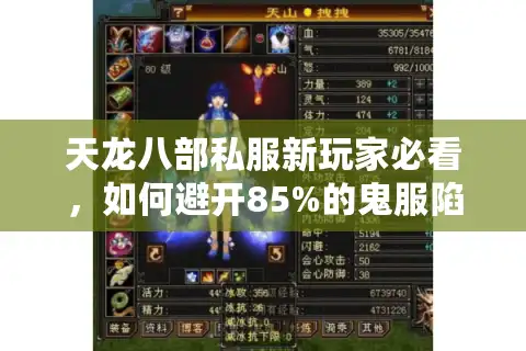 天龙八部私服新玩家必看，如何避开85%的鬼服陷阱？