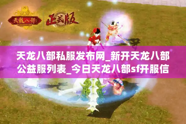 天龙八部私服发布网_新开天龙八部公益服列表_今日天龙八部sf开服信息