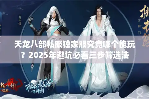 天龙八部私服独家服究竟哪个能玩？2025年避坑必看三步筛选法