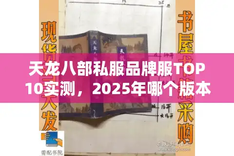 天龙八部私服品牌服TOP10实测，2025年哪个版本掉率真实不坑钱？