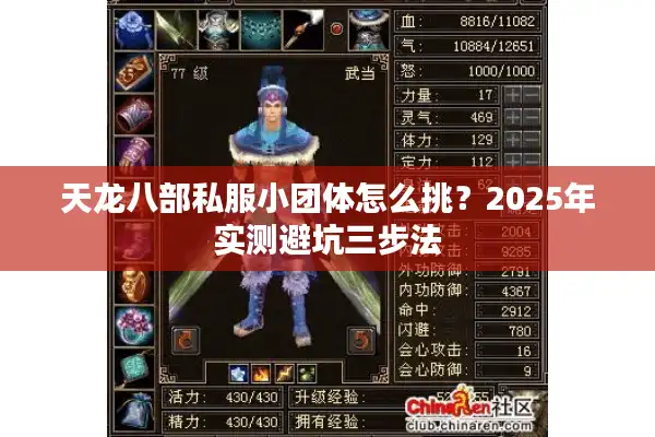 天龙八部私服小团体怎么挑？2025年实测避坑三步法