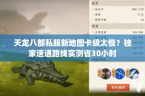 天龙八部私服新地图卡级太慢？独家速通路线实测省30小时