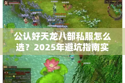 公认好天龙八部私服怎么选？2025年避坑指南实测这五招