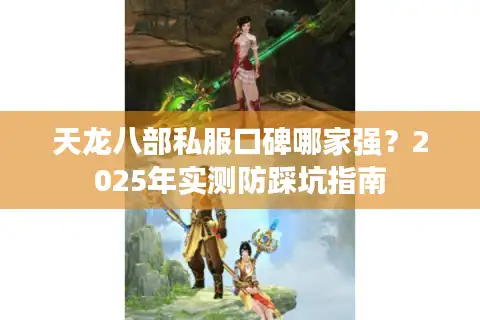 天龙八部私服口碑哪家强？2025年实测防踩坑指南