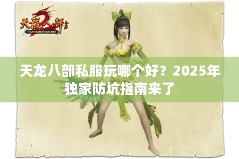 天龙八部私服玩哪个好？2025年独家防坑指南来了