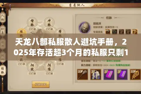 天龙八部私服散人避坑手册，2025年存活超3个月的私服只剩12%