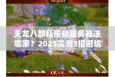 天龙八部私服新服务器选哪家？2025实测3招避坑秘籍