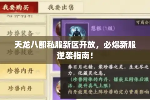 天龙八部私服新区开放，必爆新服逆袭指南！