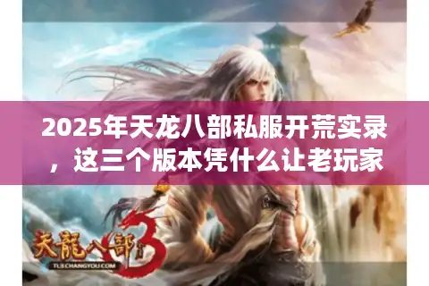 2025年天龙八部私服开荒实录，这三个版本凭什么让老玩家通宵爆肝？