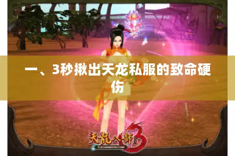一、3秒揪出天龙私服的致命硬伤