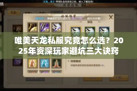 唯美天龙私服究竟怎么选？2025年资深玩家避坑三大诀窍
