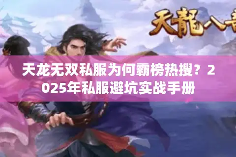 天龙无双私服为何霸榜热搜？2025年私服避坑实战手册