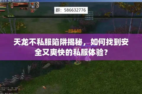 天龙不私服陷阱揭秘，如何找到安全又爽快的私服体验？