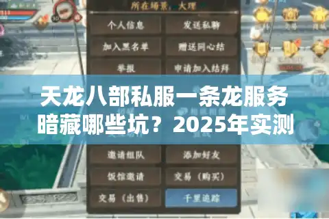 天龙八部私服一条龙服务暗藏哪些坑？2025年实测避雷清单