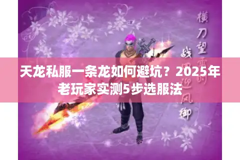 天龙私服一条龙如何避坑？2025年老玩家实测5步选服法