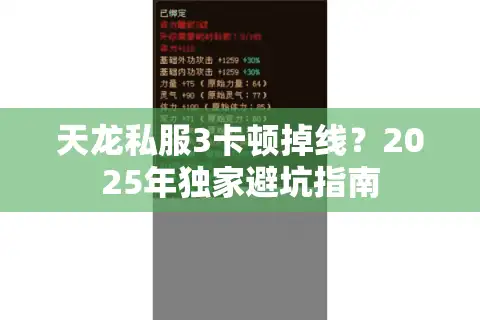 天龙私服3卡顿掉线？2025年独家避坑指南