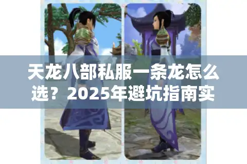 天龙八部私服一条龙怎么选？2025年避坑指南实测3个月总结