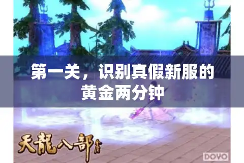 第一关，识别真假新服的黄金两分钟