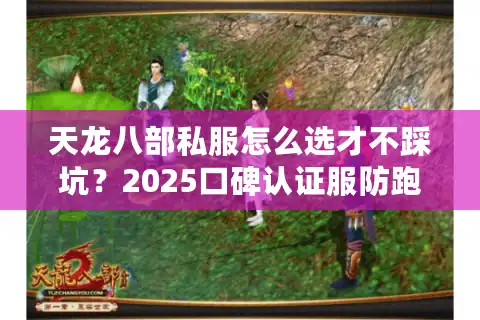 天龙八部私服怎么选才不踩坑？2025口碑认证服防跑路评测