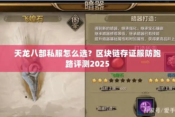 天龙八部私服怎么选？区块链存证服防跑路评测2025