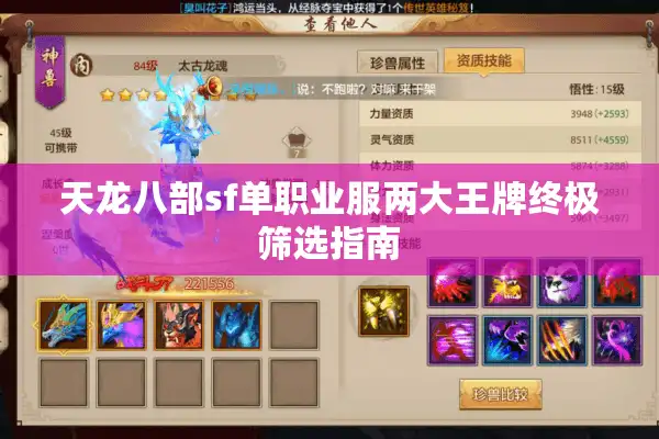 天龙八部sf单职业服两大王牌终极筛选指南