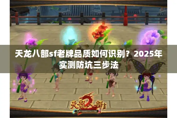 天龙八部sf老牌品质如何识别？2025年实测防坑三步法