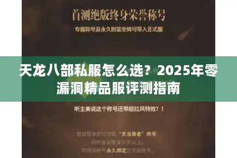天龙八部私服怎么选？2025年零漏洞精品服评测指南