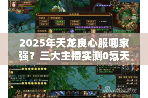 2025年天龙良心服哪家强？三大主播实测0氪天花板服推荐