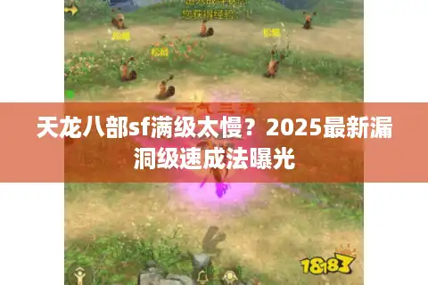 天龙八部sf满级太慢？2025最新漏洞级速成法曝光