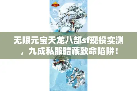 无限元宝天龙八部sf现役实测，九成私服暗藏致命陷阱！