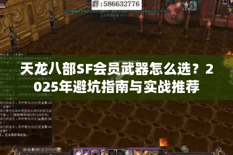 天龙八部SF会员武器怎么选？2025年避坑指南与实战推荐