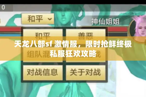 天龙八部sf 激情服，限时抢鲜终极私服狂欢攻略
