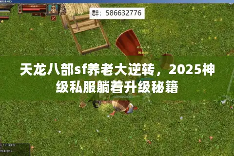 天龙八部sf养老大逆转，2025神级私服躺着升级秘籍