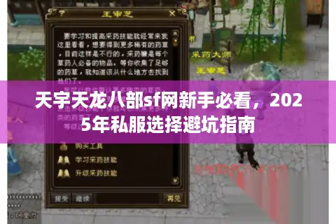 天宇天龙八部sf网新手必看，2025年私服选择避坑指南
