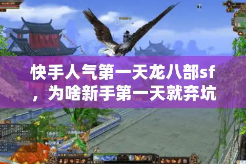 快手人气第一天龙八部sf，为啥新手第一天就弃坑？终极解法来了