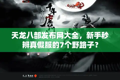 天龙八部发布网大全，新手秒辨真假服的7个野路子？