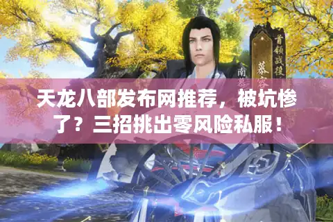 天龙八部发布网推荐，被坑惨了？三招挑出零风险私服！