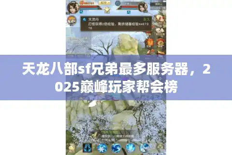 天龙八部sf兄弟最多服务器，2025巅峰玩家帮会榜