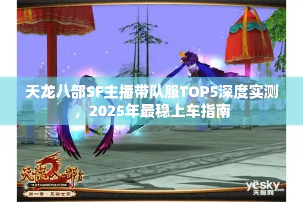 天龙八部SF主播带队服TOP5深度实测，2025年最稳上车指南