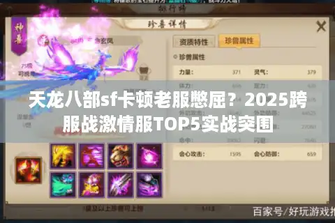 天龙八部sf卡顿老服憋屈？2025跨服战激情服TOP5实战突围