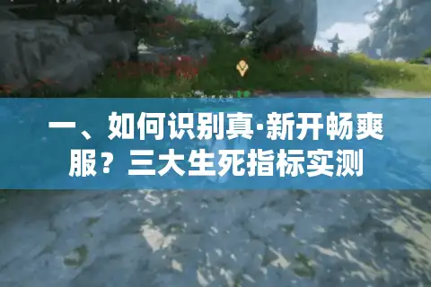 一、如何识别真·新开畅爽服？三大生死指标实测