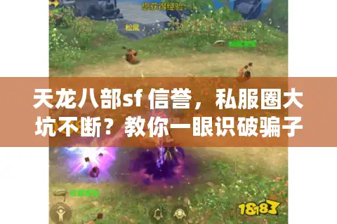 天龙八部sf 信誉，私服圈大坑不断？教你一眼识破骗子服务器