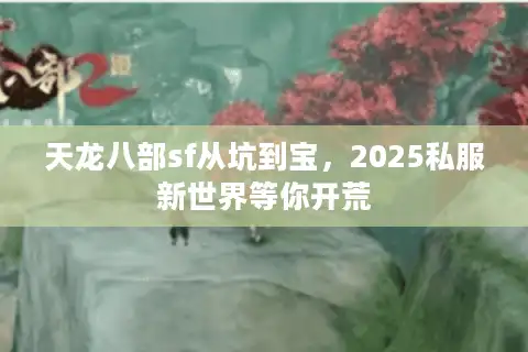 天龙八部sf从坑到宝，2025私服新世界等你开荒