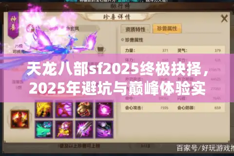 天龙八部sf2025终极抉择，2025年避坑与巅峰体验实操手册