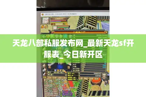 天龙八部私服发布网_最新天龙sf开服表_今日新开区