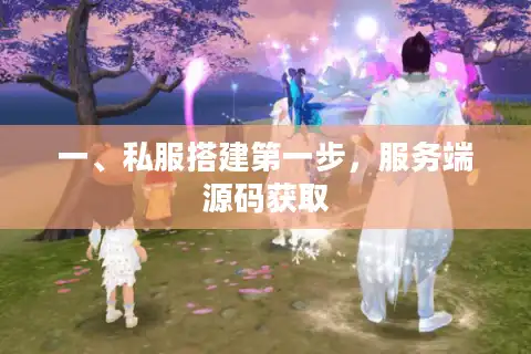 一、私服搭建第一步，服务端源码获取